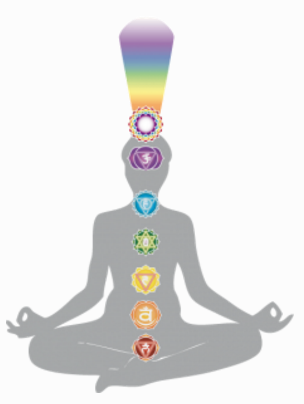 seven different colorful chakras appealing on a grey body form