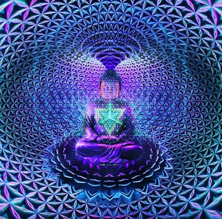 purple blue green buddha sitting in the middle of torus flow