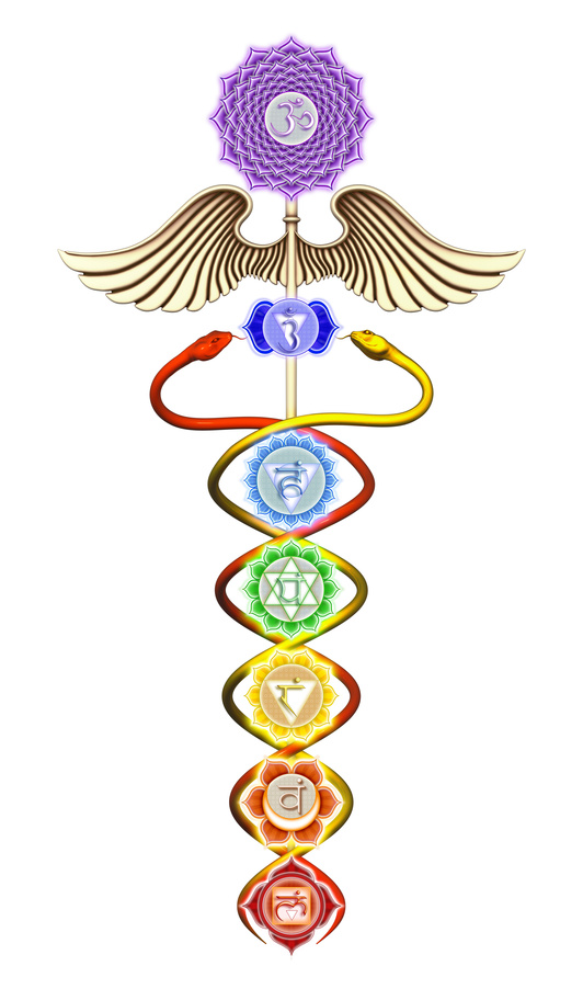 chakra colors shown vertically