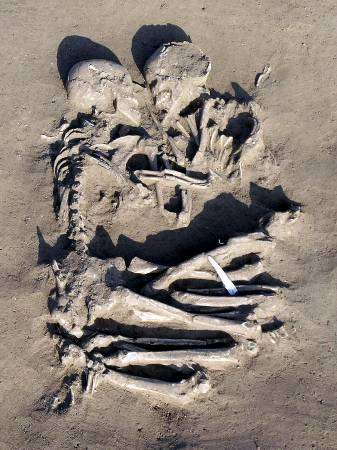 skeleton of lovers hugging