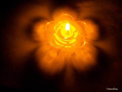 a light shaped in flower